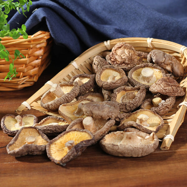 Dried Wild Mushrooms (Shiitake, 1.1lb – 500g)Shangri-laFeast - Image 7